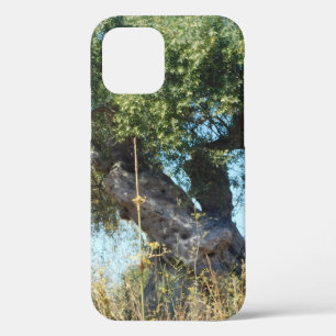 iphone 12 pro case