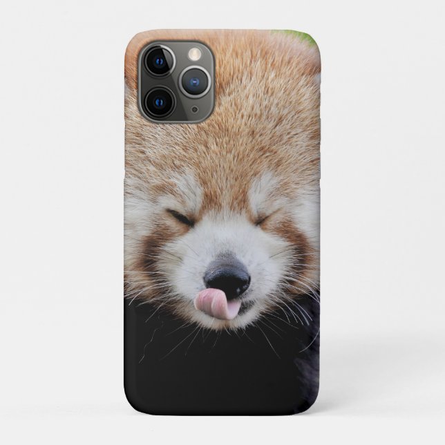 iPhone case Photo giant panda , animals. (Back)