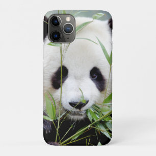 iPhone case Photo giant panda , animals.