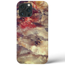 iPhone Case - Quartz in Petrified Log 3 Red