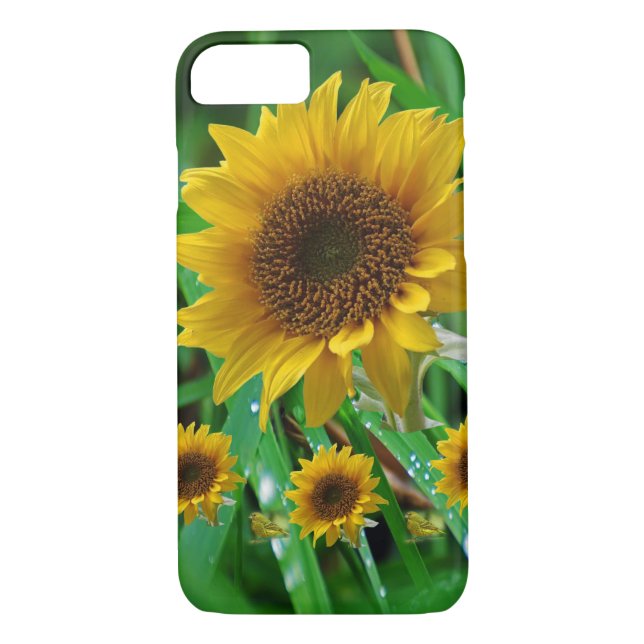 IPhone Cases Sunflowers (Back)