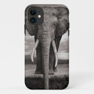 iphone, elephant iPhone 11 case