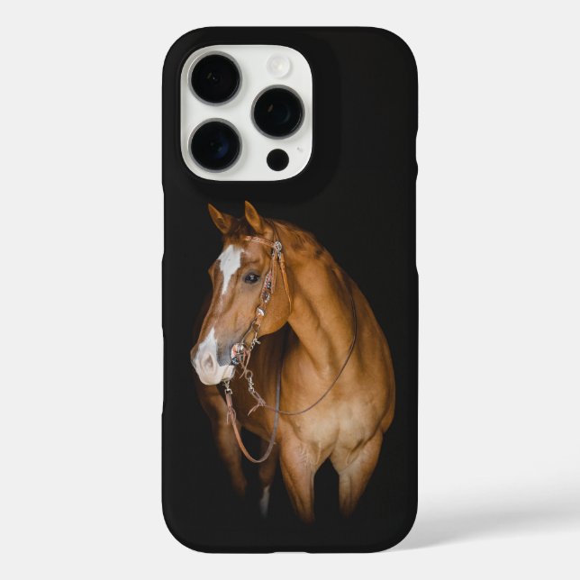 iPhone / iPad case (Back)