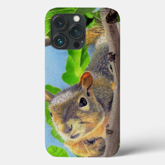 iPhone / iPad case
