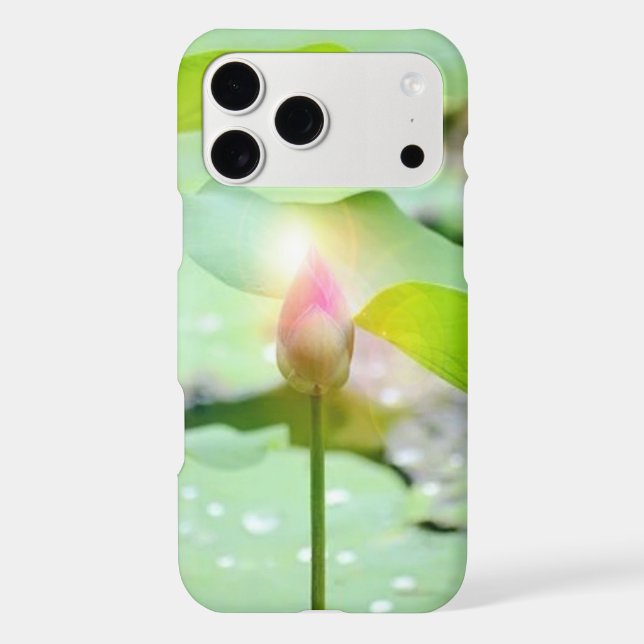 iPhone / iPad case (Back)