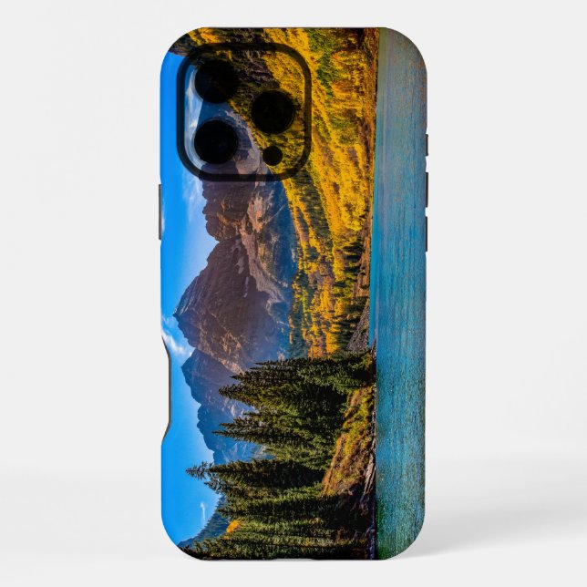 iPhone / iPad case (Back)