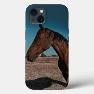 iPhone / iPad case