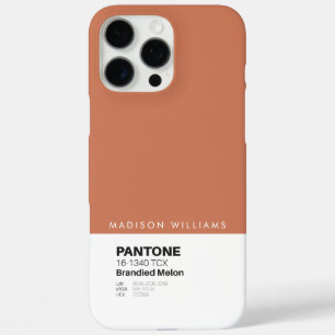 iPhone / iPad case