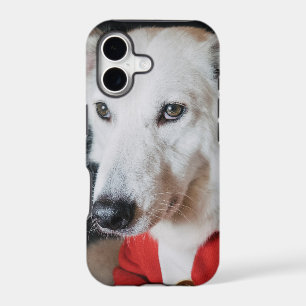 iPhone / iPad case