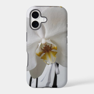 iPhone / iPad case
