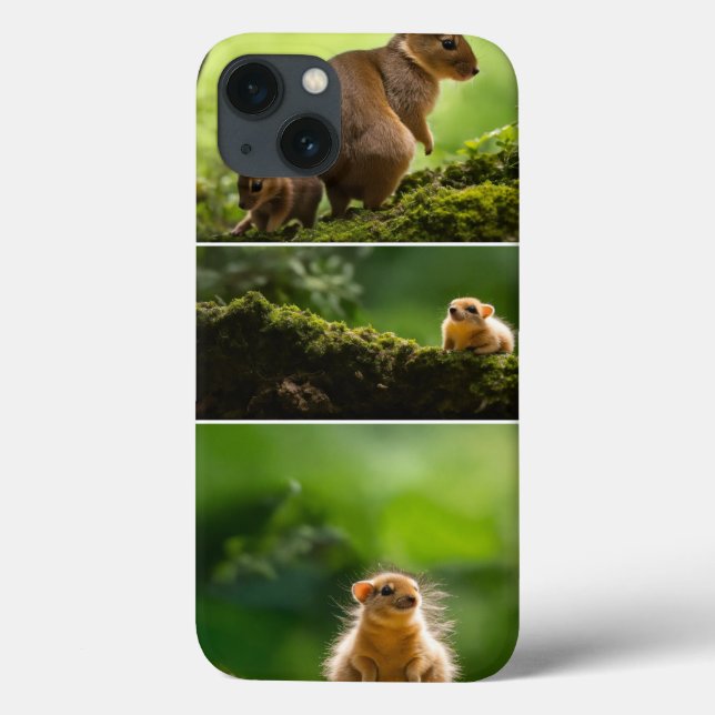 iPhone / iPad case (Back)