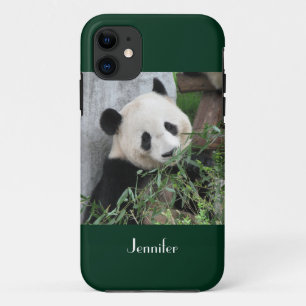 iPhone SE/5/5s Case Giant Panda Green Background