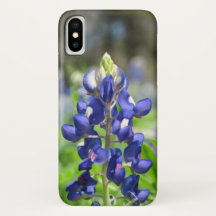 iPhone X Bluebonnet