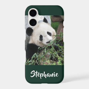 iPhone XR, XS, XS Max Case Panda Choose Colour