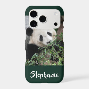 iPhone XS, XS Max, XR Case Panda Choose Colour