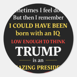 Iq Low Enough To Think Trump Is An Amazing Preside Classic Round Sticker