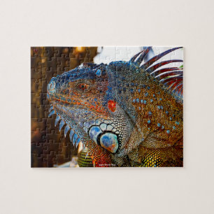 Iquana Florida Keys Jigsaw Puzzle