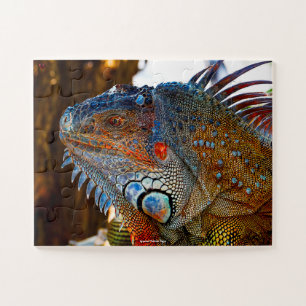 Iquana Florida Keys Jigsaw Puzzle
