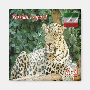 IR - Iran - Persian Leopard Magnet