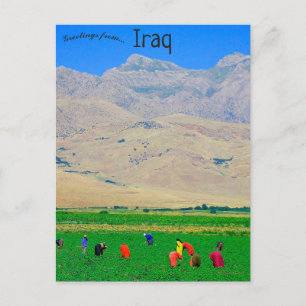 Iraqi Kurdish villagers in Iraq Postcard