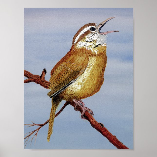 Irate Carolina Wren Poster (Front)