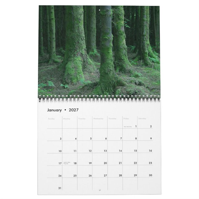 Ireland Calendar (Jan 2027)