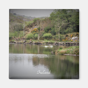 Ireland, County Cork, Lake, Swans, Photography Magnet