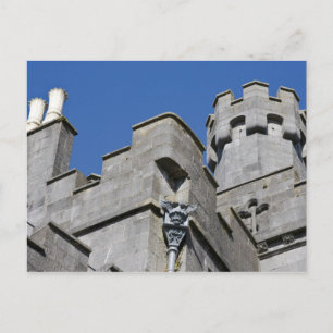 Ireland, County Kilkenny, mediaeval castle. Postcard