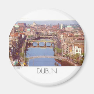 Ireland Dublin River Liffey (St.K.) Magnet