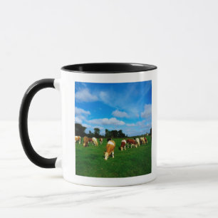 Ireland, Herd Of Cattle Grazing Mug