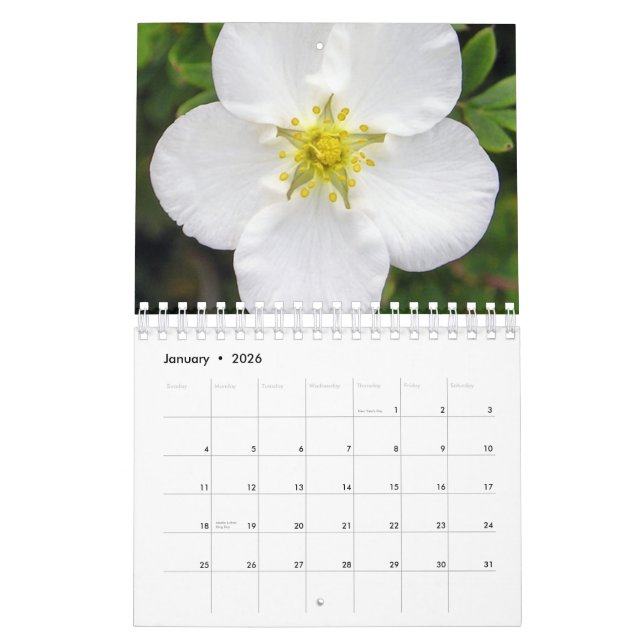 Ireland in Bloom Calendar (Jan 2026)