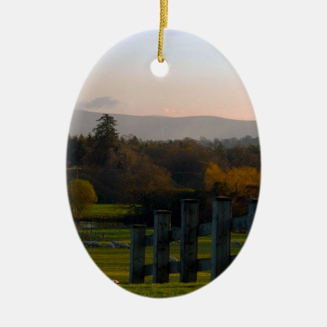 Ireland is Beautiful Ceramic Tree Decoration (Front)