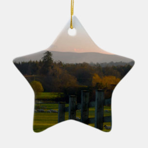 Ireland is Beautiful Ceramic Tree Decoration