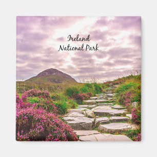 Ireland National Park Magnet