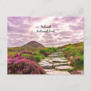 Ireland, National Park Postcard