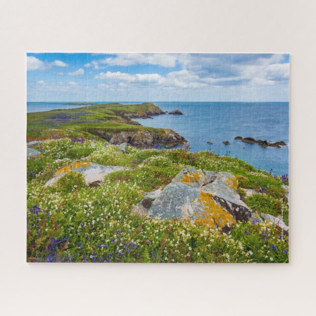Ireland, Saltee Islands, Jigsaw Puzzle (Horizontal)