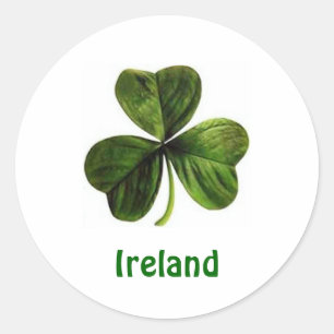 Ireland Shamrock - Sticker