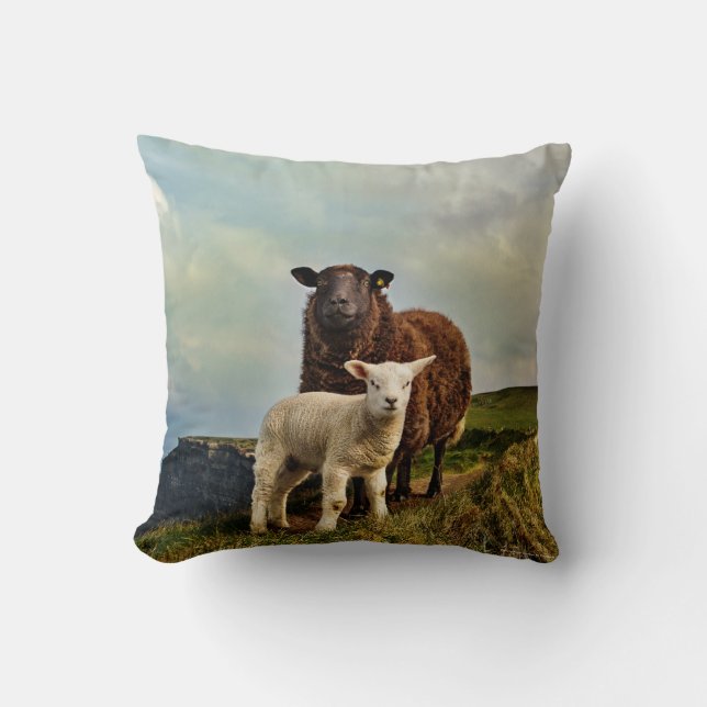 Ireland, Sheep, Cushion (Front)