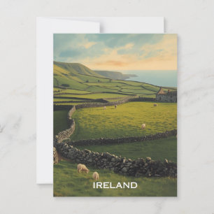 Ireland Sheep Postcard