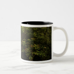 Ireland, the Dromoland Castle walled garden Two-Tone Coffee Mug