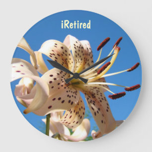 iRetired Clock gifts Retirement Clocks Retiring