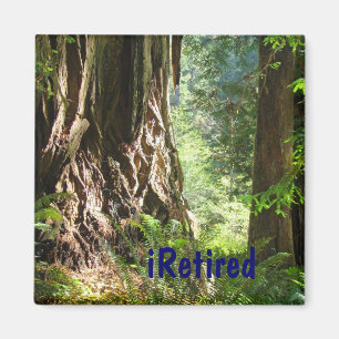 iRetired magnet Retirement Retiring Retired gifts