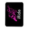 iRide magent