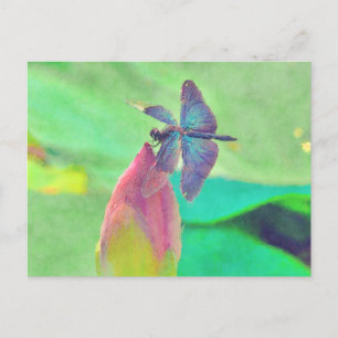 Iridescent Blue Dragonfly on Waterlily Postcard