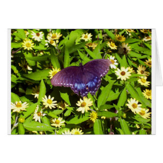 Iridescent Blue Purple with Black Butterfly Wings