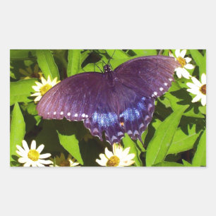 Iridescent Blue Purple with Black Butterfly Wings Rectangular Sticker