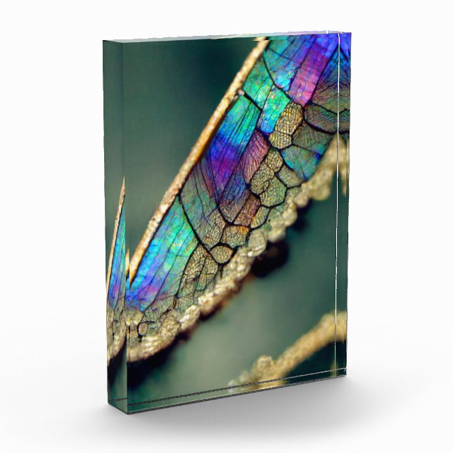 Iridescent dragonfly wing  photo block (Left)