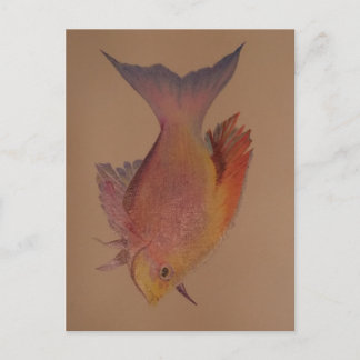 Iridescent Fish Postcard