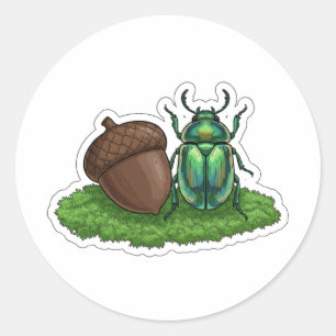 Iridescent Jewel Beetle and Acorn Illustration Classic Round Sticker