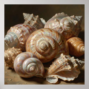 Iridescent Seashell Still Life Poster